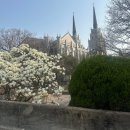 청라언덕역(신남역)(2호선) | 2026 대구 청라언덕목련 3월26일 개화 빵지순례 윈드윈베이커리