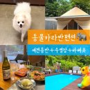 필당구장 - 유성구 계룡로 30 | 가평 글램핑 동물카라반펜션, 아침고요수목원 애견동반 가능한 숙소