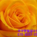 렌탈여기 네이버블로그