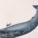 ＜기네스 북＞ 기록 세운 흰긴수염고래 이미지