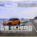 심곡공원 | 강릉 정동진 가볼만한곳 정동심곡 바다부채길 걷기