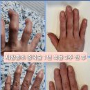 큐사랑(Q사랑) 네이버블로그