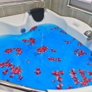 모모펜션 이미지