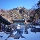 유일사 이미지