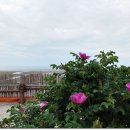 춘장대해수욕장 이미지