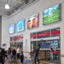 박정표밀알모밀 | 일상로그 19. 천안 코스트코/카페 뚜쥬루, 이런날베이커리/박정표밀알모밀 콩국수/강아지 우비