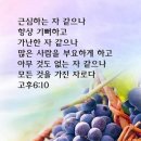 주께 향기로운 냄새니라 이미지