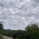 용수길(도산면) 이미지