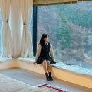 노스토스 이미지