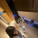 갤마 | 2일차 일본여행(교토-오사카) 후기 (=갤털)