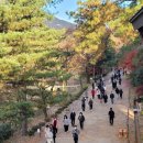 서울대-관악-기획과