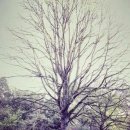 호텔명품서비스 이미지