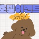 옐레드 애견유치원 & 애견호텔, 미용 안산고잔점 이미지