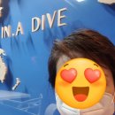 용인스킨스쿠버 이미지