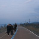 나포칼국수 이미지