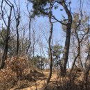 CU 창원성주점 | 일상(210207~210221)