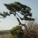 후암농장 이미지