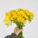 팜팜스토어 이미지