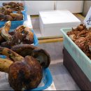 충북식당 이미지