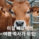 축사용선풍기 00 놓치면 폭염에 큰일입니다.