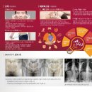 에끌라영에스테틱 | 광주북구일곡동 알포유 에너지 테라피 '에끌라영' 에스테틱 후기