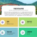 국립대전숲체원 겨울에 1박한 후기 : 숙박비용, 편백베개 만들기체험, 조식 등..