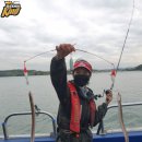 여수바다장어 이미지