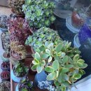 겨울대비 자동차검사 이미지