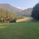 가야 주식회사 이미지