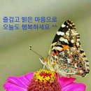 🧡긍정의 말은 성공의 미래를 만들어냅니다🧡 이미지