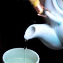 푸른참치 이미지