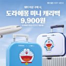 캐리백