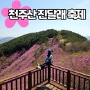 천주산식당 | 천주산 코스추천·주차·진달래 개화현황(26.04.11)·진달래축제 정보