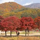 "3대가 만족하는 가족여행"...추석 연휴 가족들과 가볼만한 국내 여행지 BEST 4 이미지