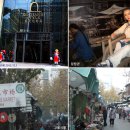 중국 샹하이 항저우 여행 이미지