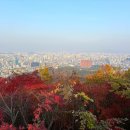 남산으로 이미지