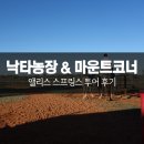 앨리스스프링스