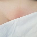 엔 네일 춘천지점 네이버블로그