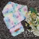 풀잎문화센터 춘천지부 네이버블로그