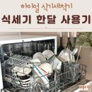 글로벌위니아 | 소형 6인용 식기세척기 장단점 가성비 하이얼 식세기 설치 한달 후기