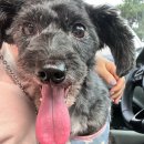 읻다, 그루밍 이미지