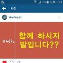 장터야채소매