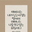 실버스텔라