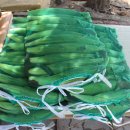 월랑농장 이미지