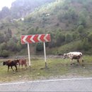 (주)쿨리 이미지