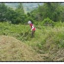 진안산소 이미지