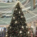 대건한의원 이미지