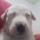 이연희콜렉션 | 난 저지르는 타입 ♪ ♫