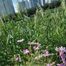 김길순농장 이미지