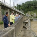 순천-11호 이미지